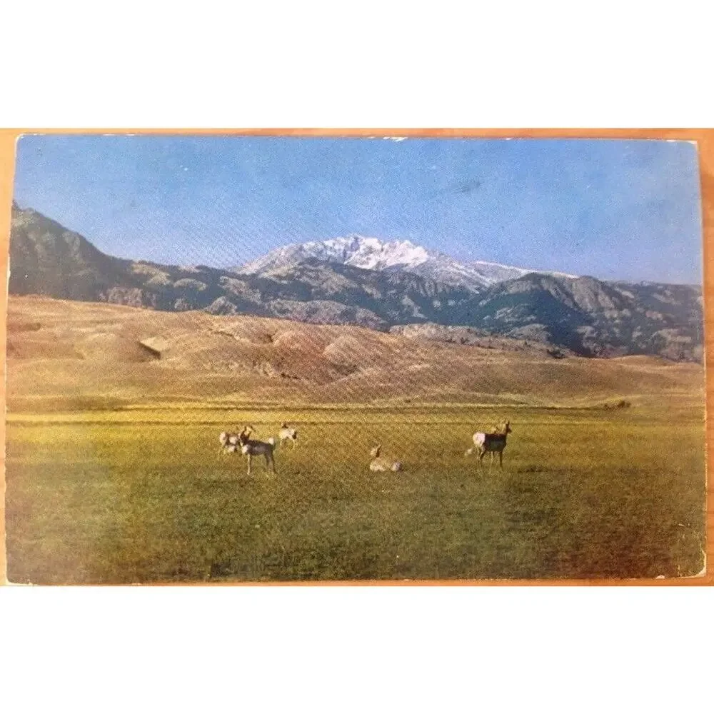 1955 Vintage Haynes Kodachrome Yellowstone WY Pronghorns Electric Peak Posted